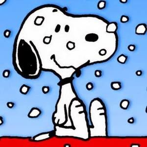 Meet your Posher, Annie